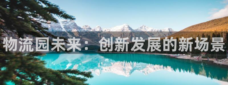旺财28口：物流园未来：创新发展的新
