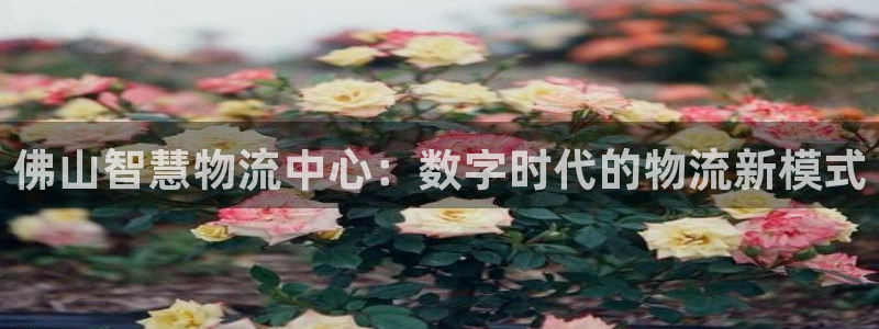 旺财28官网入口pc是诈骗吗?：佛山