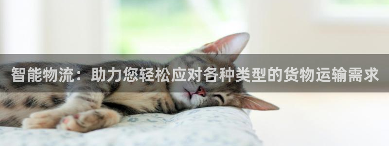 旺财28APP是干什么的：智能物流：