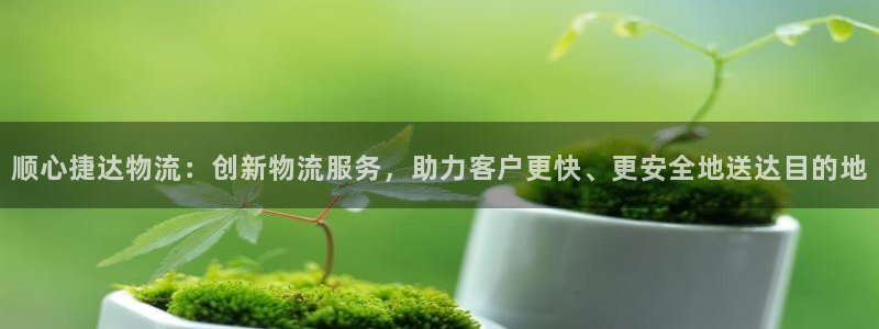 旺财28注册链接：顺心捷达物流：创新