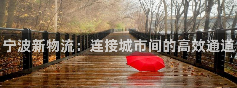 旺财28怎么注册账号和密码：宁波新物