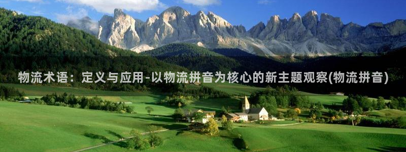 旺财28aPP退款：物流术语：定义与