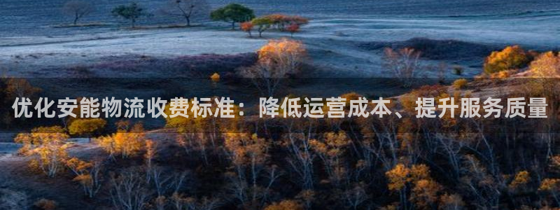 旺财28下载不了：优化安能物流收费标