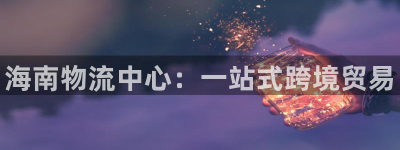 旺财28链接：海南物流中心：一站式跨