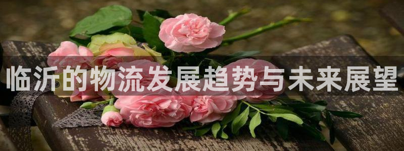 旺财28下载体育：临沂的物流发展趋势