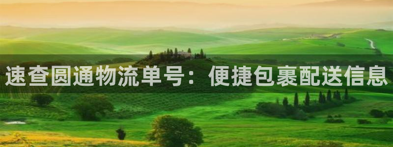 旺财28官网开奖结果预测：速查圆通物
