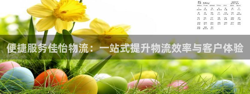 旺财28充值不到账什么原因：便捷服务佳怡物流：一站式提升物流
