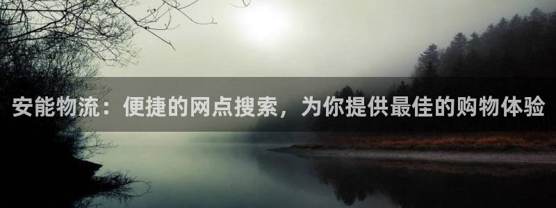 旺财28预测加拿大师准：安能物流：便