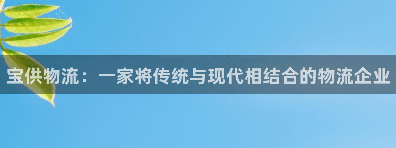 旺财28下载入口:宝供物流:一家将传