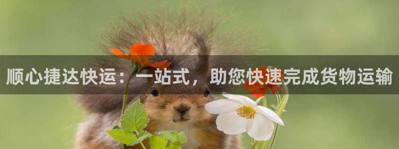 旺财28里的财神：顺心捷达快运：一站