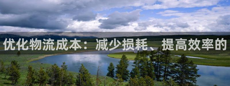 旺财28人工客服电话是什么：优化物流成本：减少损耗、提高效率