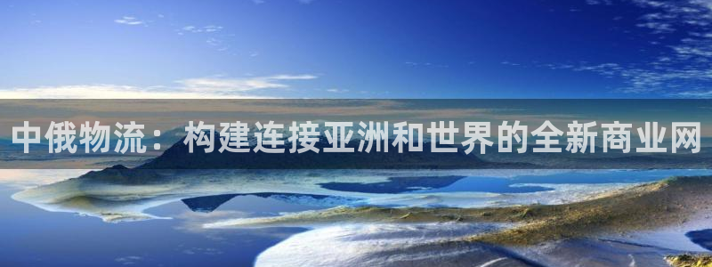 旺财28v6能卖多少：中俄物流：构建