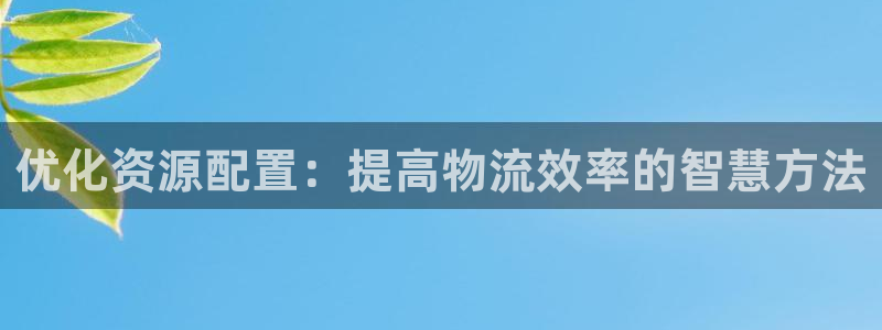 旺财28返水怎么算的：优化资源配置：