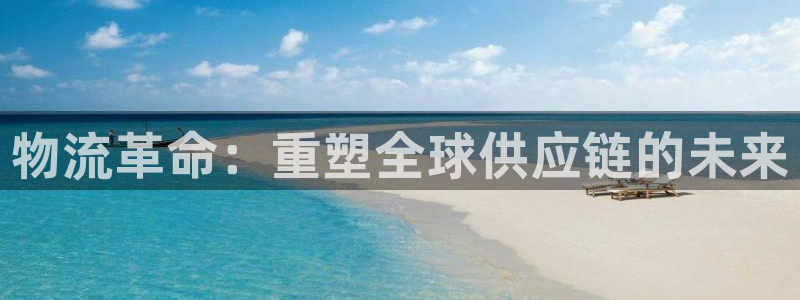 旺财28预测网：物流革命：重塑全球供应链的未来