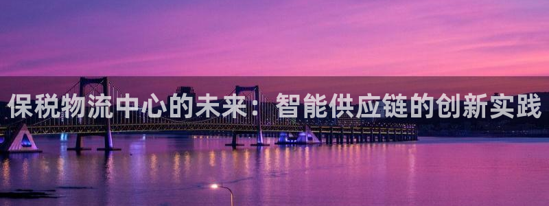 旺财28是啥:保税物流中心的未来:智