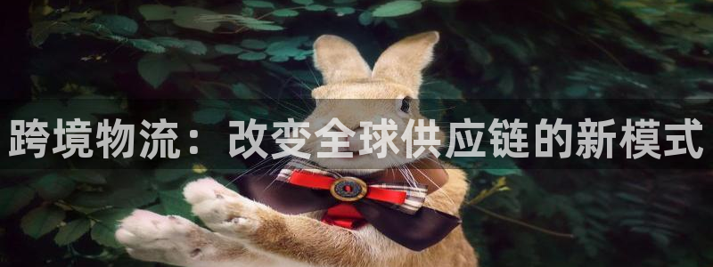 旺财28怎么申请代理：跨境物流：改变