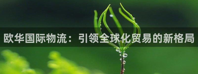 旺财28官网多少：欧华国际物流：引领