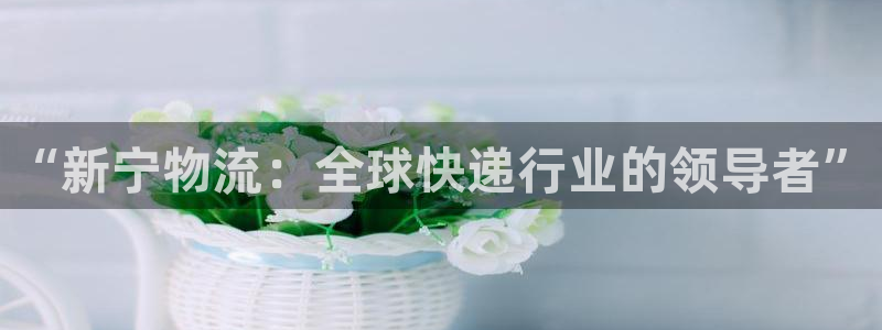 旺财28如何注销账号