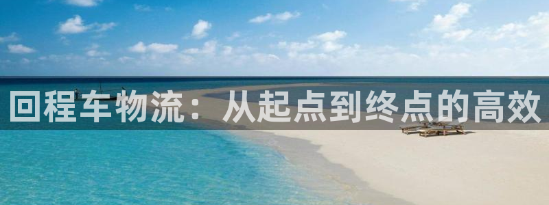 旺财28充值不处理：回程车物流：从起点到终点的高效