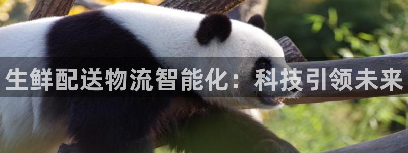 旺财28旗下