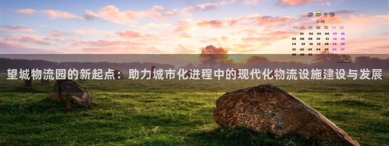 旺财28提现不到账:望城物流园的新起