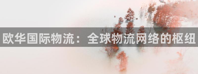 旺财28下分了不给钱：欧华国际物流：全球物流网络的枢纽