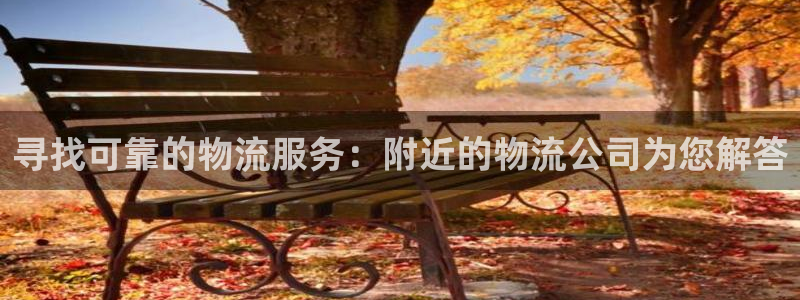加拿大旺财28是什么：寻找可靠的物流服务：附近的物流公司为您