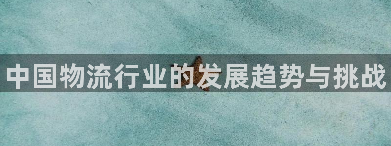 旺财28人头费:中国物流行业的发展趋
