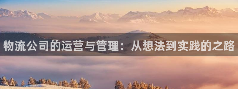 旺财28预测：物流公司的运营与管理：