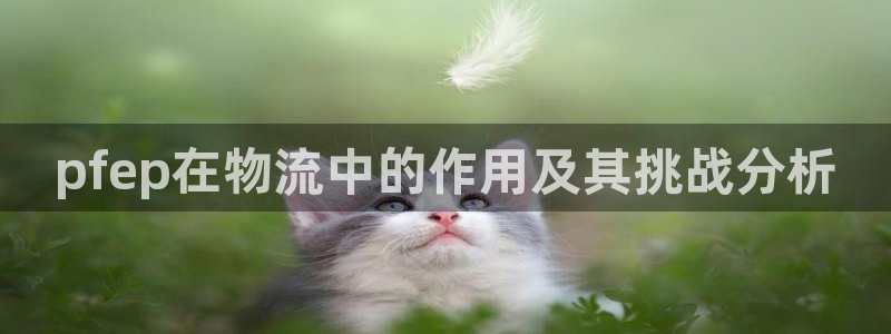 旺财28模拟器下载：pfep在物流中的作用及其挑战分析
