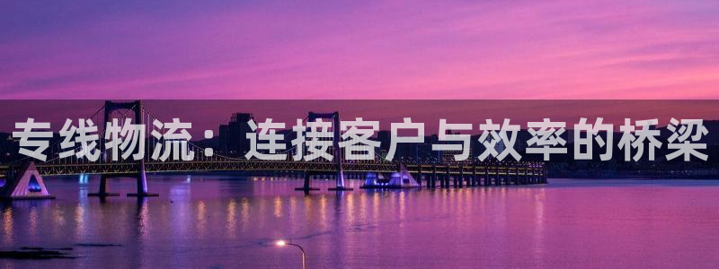 旺财28网赌案件:专线物流:连接客户