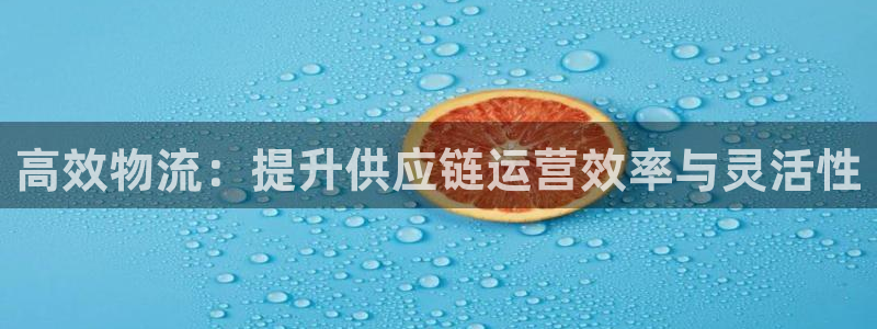 旺财28注册官网:高效物流:提升供应