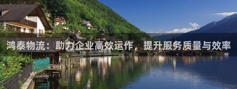 旺财28官网入口app