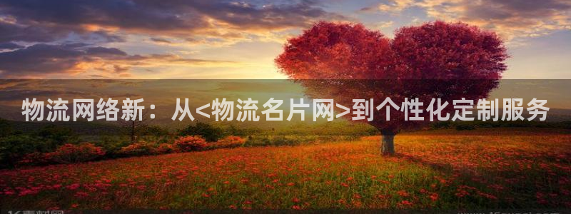 旺财28推广链接是多少个:物流网络新