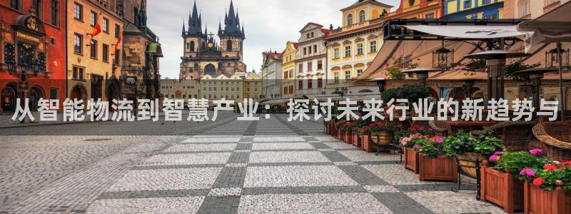 旺财28官方官网