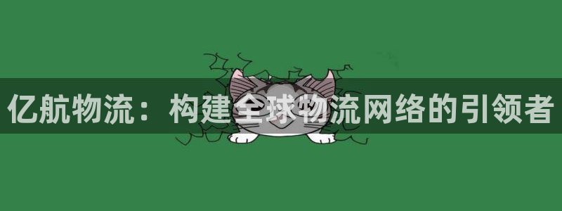 旺财28p扣除：亿航物流：构建全球物