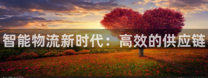 旺财28注册条件：智能物流新时代：高