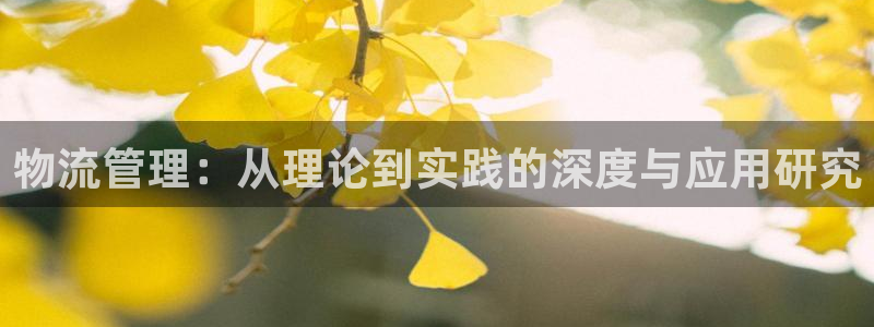 旺财28怎么下载教程：物流管理：从理