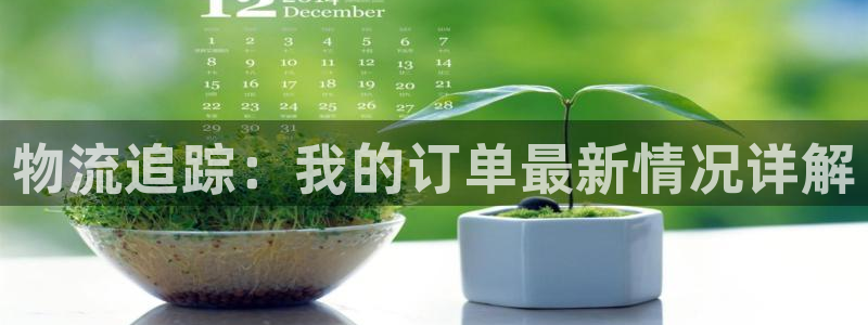 旺财28免费：物流追踪：我的订单最新
