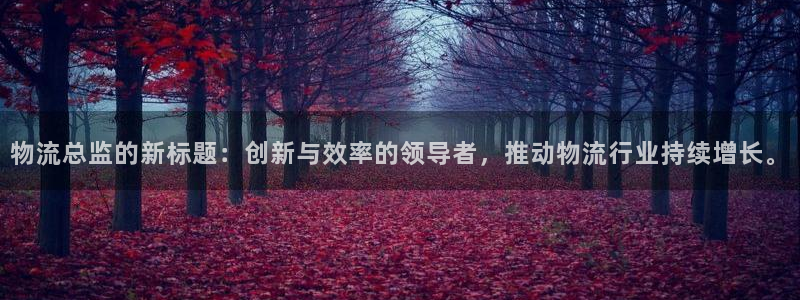 旺财28加拿大最新版：物流总监的新标