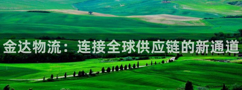 旺财28注册用户名是什么