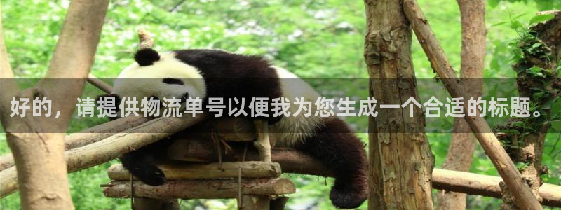 加拿大旺财28是什么