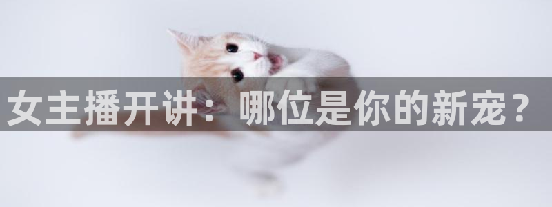 857体育赛事直播免费高清：女主播开讲：哪位是你的新宠？